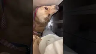 почему во Франции такие узкие лифты?