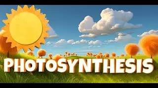 Photosynthesis Song