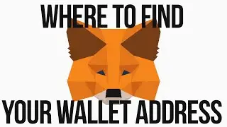 MetaMask Where Is My Wallet Address?