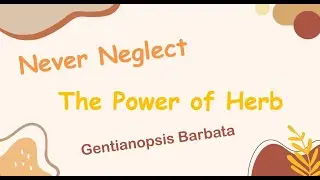 Herb Analysis 115