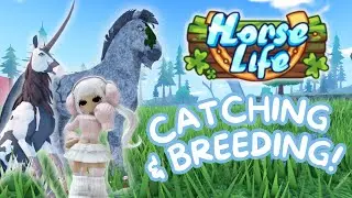 Horse Life! II Catching & Breeding Unicorns! II New Roblox Horse Game