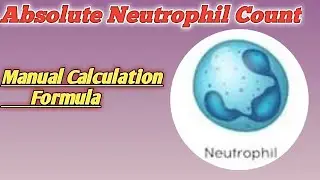 absolute neutrophil count formula | absolute neutrophil manual count | wbc count in microscope