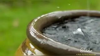 Rain | বৃষ্টি।