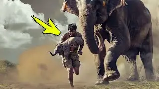 A man saved a baby elephant that had fallen into a hole. What the herd did made everyone cry!
