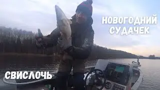 Предновогодняя рыбалка! Сазан, судак! Джиг на реке!
