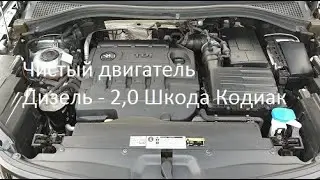 Шкода Кодиак Дизель. Моем двигатель, чистота залог ...