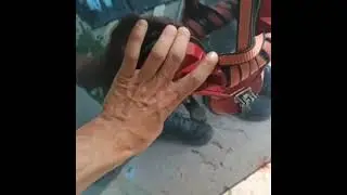 Голмидон - мощная присоска
