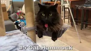 Review AIWIKIDE 002G Cat Tree has Scratching Toy with a Ball Activity Centre Cat Tower Furniture
