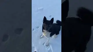 Встретил на рыбалке 😊