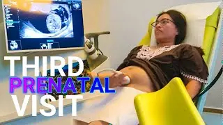 PRENATAL Check up| THIRD VISIT| ULTRASOUND| ZAGREB, CROATIA