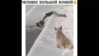 Человек большой буквой | Лучшие видео из Инстаграма