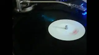 The Organ Donors* ‎– James Brown Is Queer