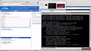 Mastering Wireshark Introduction to Wireshark and Nmap interaction