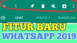 Fitur whatsapp yang jarang di ketahui