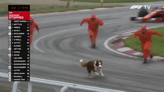 1 in a Million F1 Moments