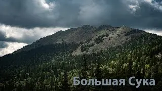 Гора 