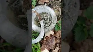 Земляные свечи.