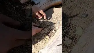 Больше не нужны спички в походе и на рыбалке! 👍👍👍 Разжигаем огонь с помощью ножа!