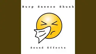 Burp and Shush
