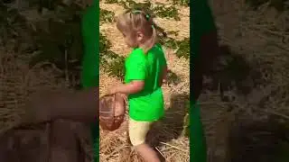 Собираем клубнику в Англии