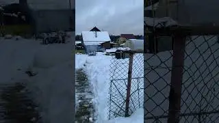 Петарда атас