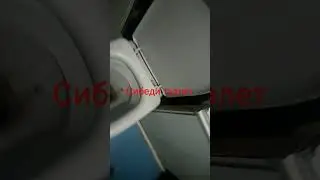 Скибеди туалет у меня дома
