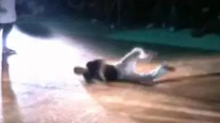 Bamboo 2007