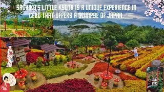 JAPAN SA PINAS VISA FREE/Get a Glimpse of Sachiko's Little Kyoto in Japan #youtube #japan #cebucity