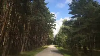 Куршская коса. Рассказывает Светлана Коршак.