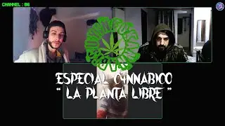 ESPECIAL CAN4BICO | LA PLANTA LIBRE | Temporada 2024 | Capítulo 5