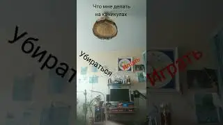 что мне делать на каникулах