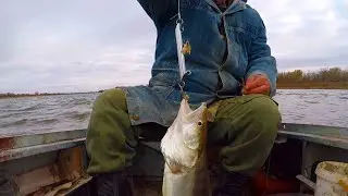 Astrakhan grandfather's tackle catches jig Fishing for pike and pike perch Autumn fishing in Astr...
