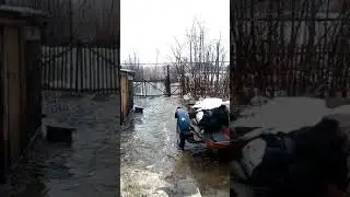 Как ченовники забили на село маркаколь