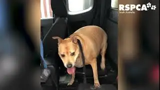 Sophie has already lost 12 kilos!