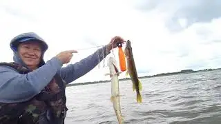 РЫБКА КУСАЛА - МЫ С УЛОВОМ !!!! 03.07.2024 г.