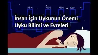 The Importance of Sleep for Human The Science and Stages of Sleep