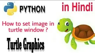 Python turtle graphics in hindi|bgpic()|how to set the background image in turtle|change bg image