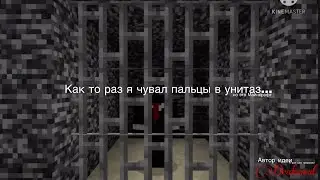 Как то раз я сувал пальцы в унитаз… (но это Майнкрафт)