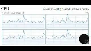 The Logical Processor View