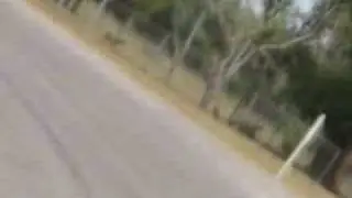 July 5th Texas Rideout on R3 2