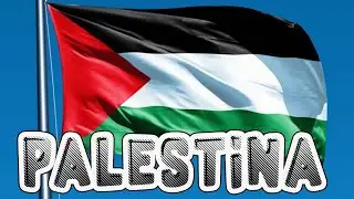 lagu palestina 😭😭