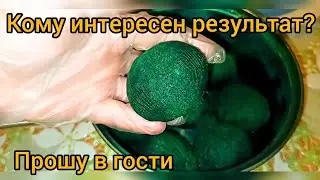 Я в шоке. Окраска яиц.