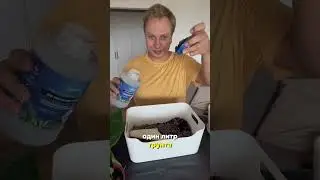 💚 Цимус арт: 211715898; Аминоцимус арт: 251175400