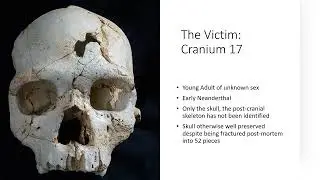 The Oldest Murder in Prehistory!