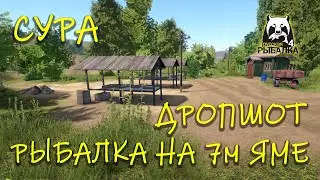 Русская рыбалка 4 (рр4). Сура. Дропшот. Судак. Налим.
