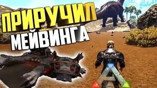ARK: МЕЙВИНГ для фарма полезностей! #26 Выживание на карте Caballus АРК/ARK