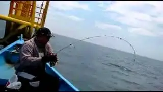 Mancing Strik Ikan Talang Talang Di Dekat Pengeboran Minyak Tengah Laut