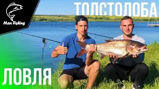 Жара! ТОЛСТОЛОБ идет и рвет поводки! 