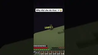 Minecraft Funny Moment #shorts