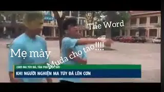 JoJo Việt Nam school Muda muda!!!×26
